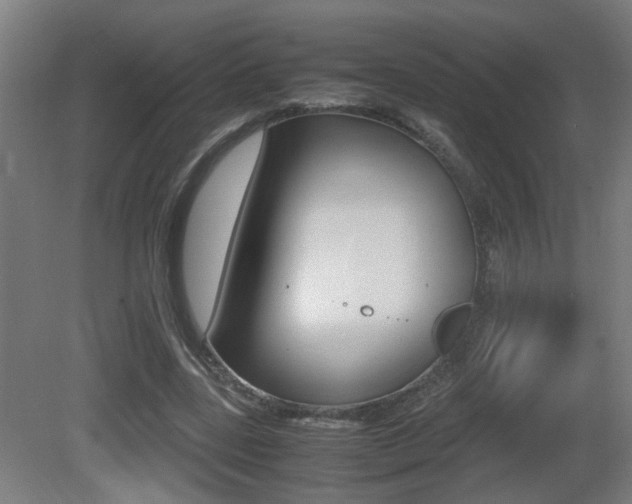 X0000081270539200701110910