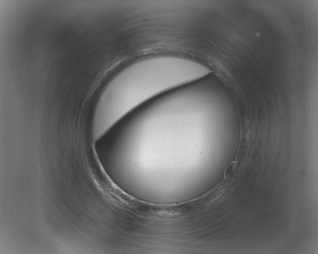 X0000081270542200701110910