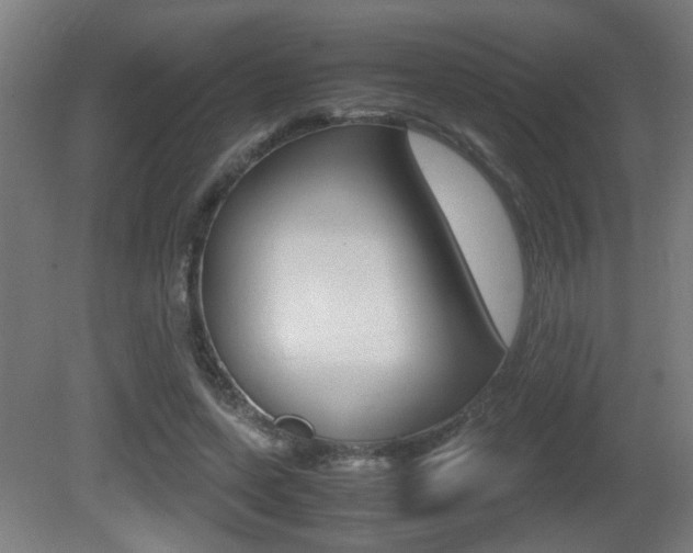 X0000081270543200701110910