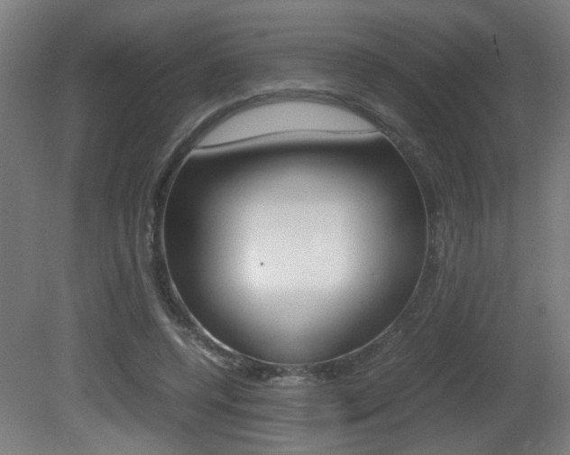 X0000081270544200701110910