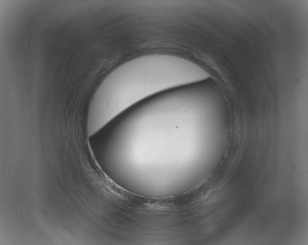 X0000081270545200701110910