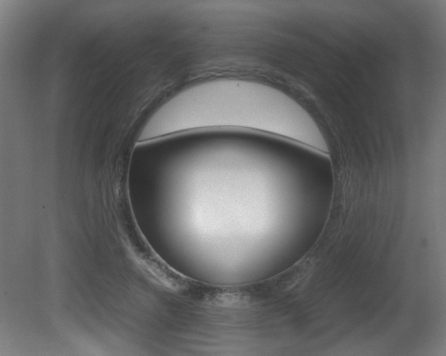 X0000081270546200701110910