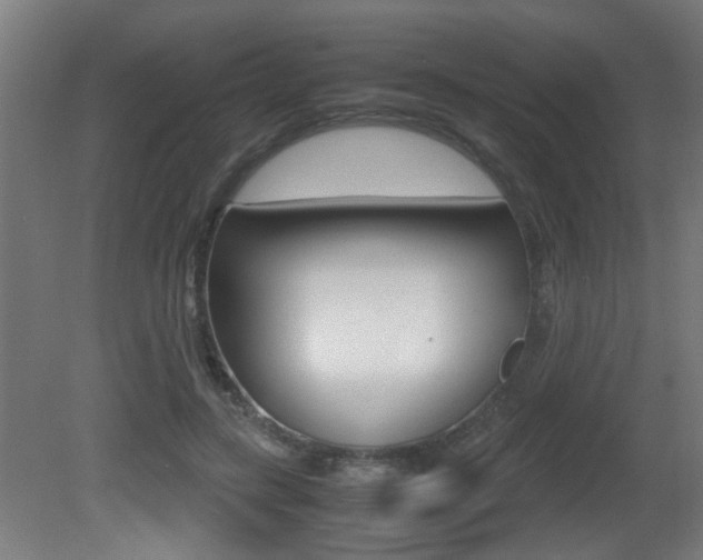 X0000081270547200701110910