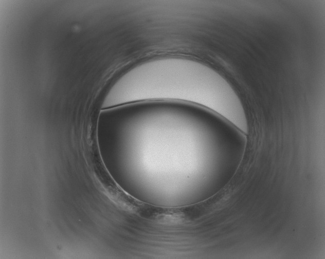 X0000081270548200701110910