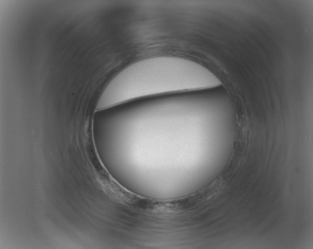 X0000081270550200701110910