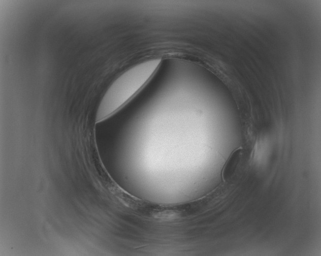 X0000081270551200701110910