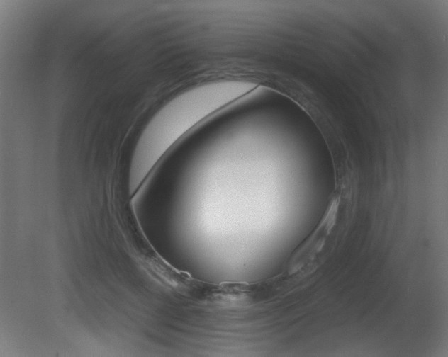 X0000081270552200701110910
