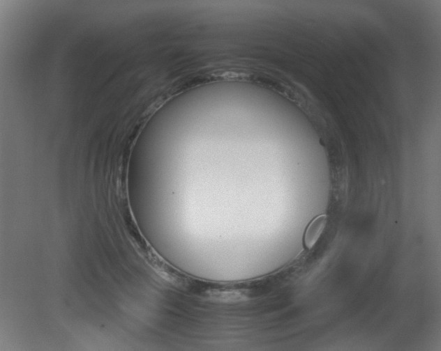 X0000081270553200701110910
