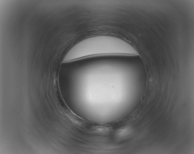 X0000081270555200701110910