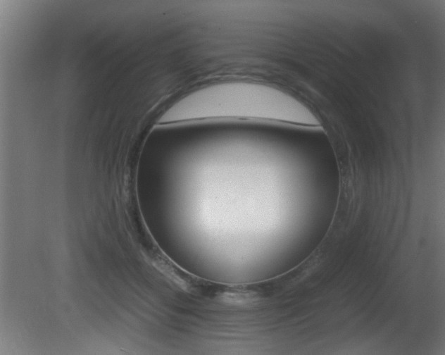 X0000081270556200701110910
