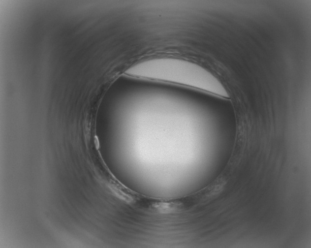 X0000081270558200701110910