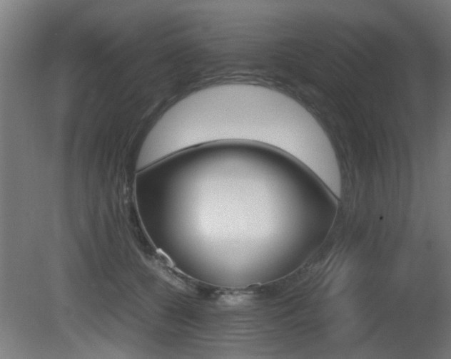 X0000081270560200701110910