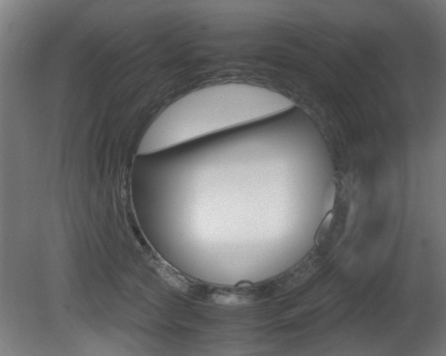 X0000081270561200701110911