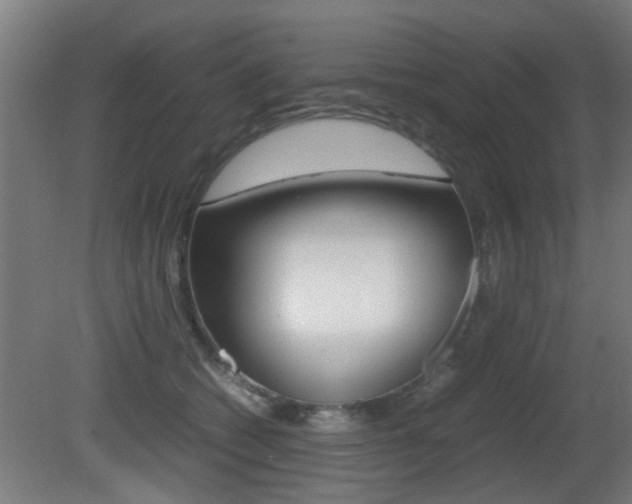 X0000081270562200701110911