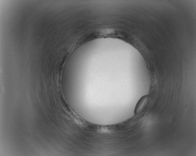 X0000081270565200701110911
