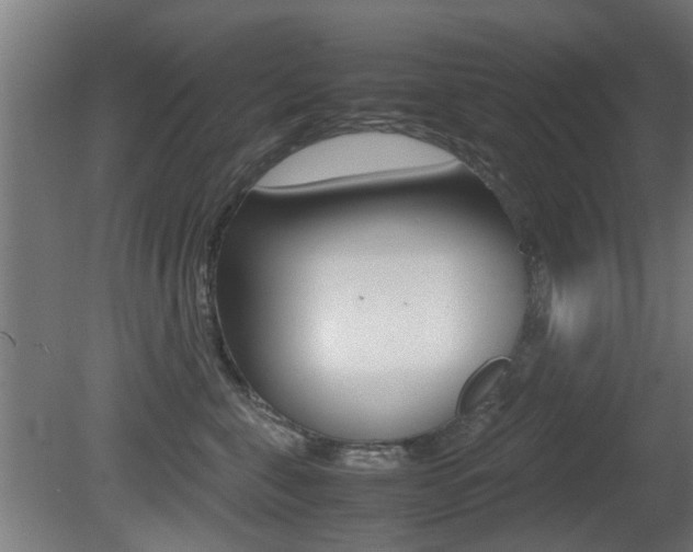 X0000081270571200701110911