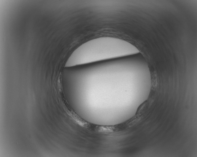 X0000081270573200701110911