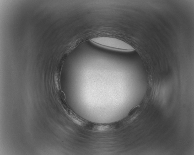 X0000081270575200701110911