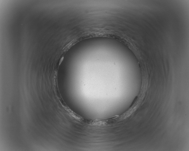 X0000081270576200701110911