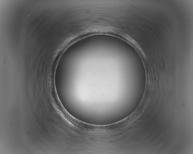X0000081270581200701110910