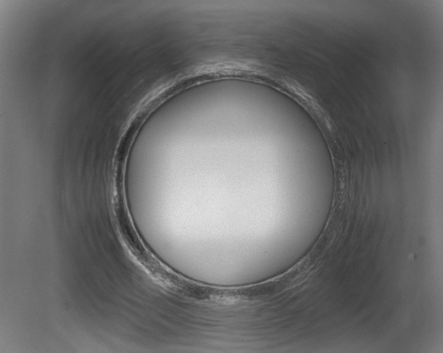 X0000081270582200701110910