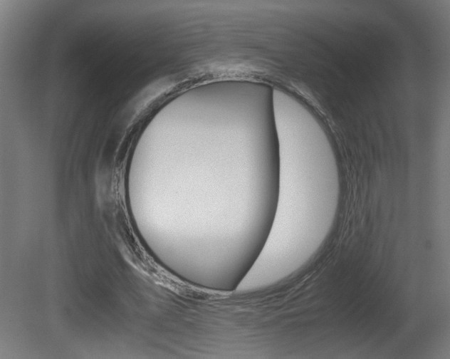 X0000081270583200701110910