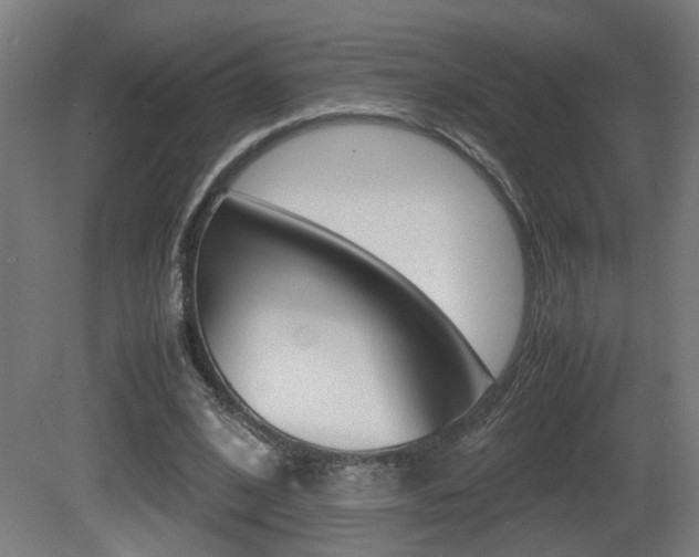 X0000081270584200701110910