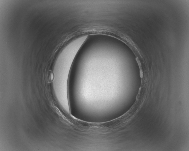 X0000081270585200701110910