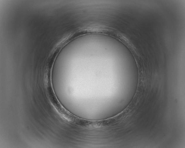 X0000081270586200701110910