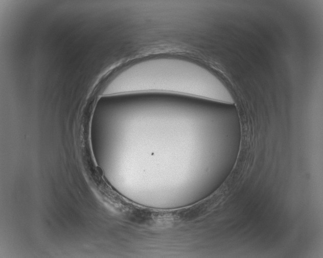 X0000081270587200701110910