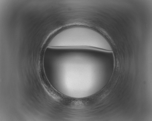 X0000081270588200701110910