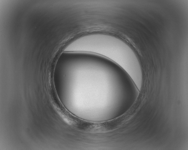 X0000081270589200701110910