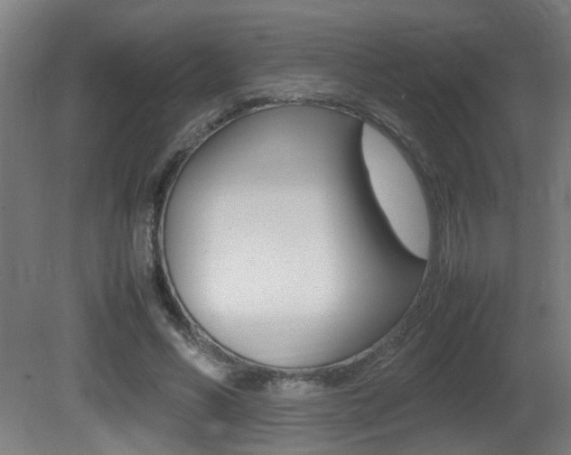 X0000081270590200701110910