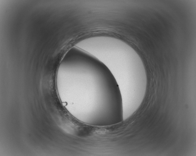 X0000081270595200701110910