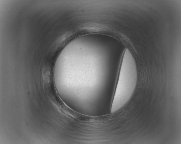 X0000081270596200701110910