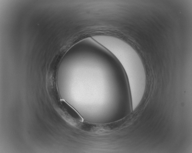 X0000081270597200701110910