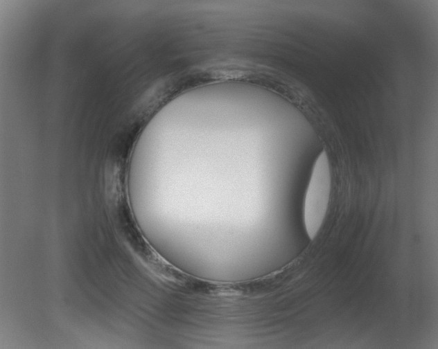 X0000081270598200701110910