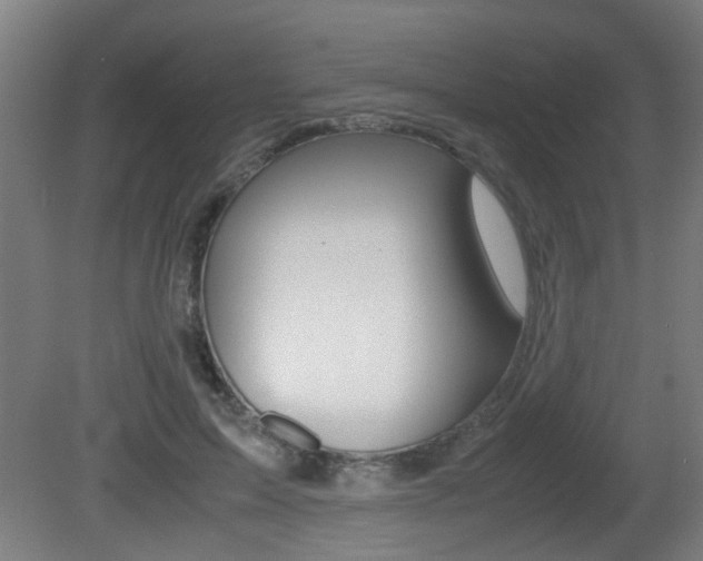 X0000081270599200701110910