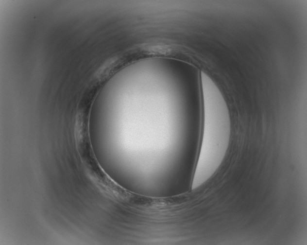 X0000081270600200701110910