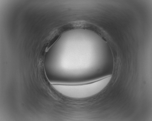 X0000081270601200701110910