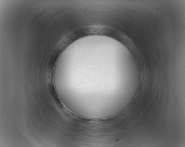 X0000081270602200701110910