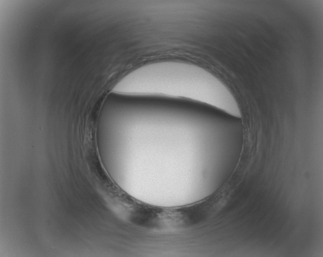 X0000081270603200701110910