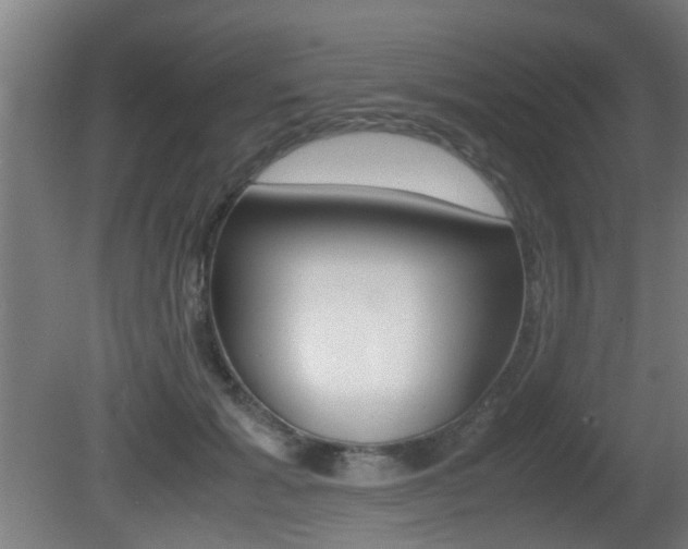 X0000081270605200701110909