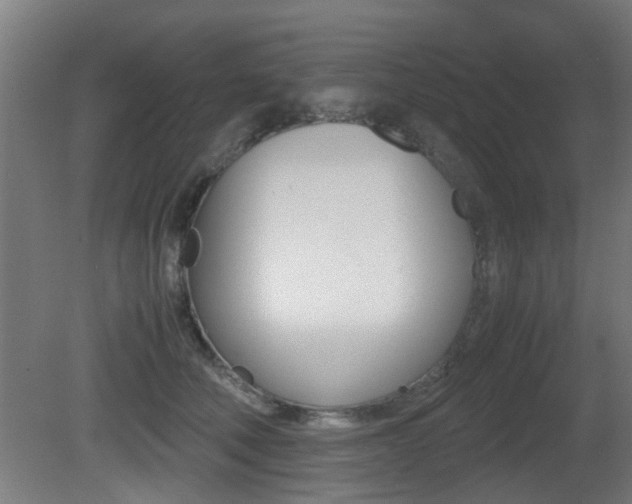 X0000081270610200701110909