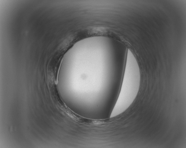 X0000081270617200701110909