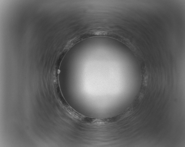 X0000081270620200701110909