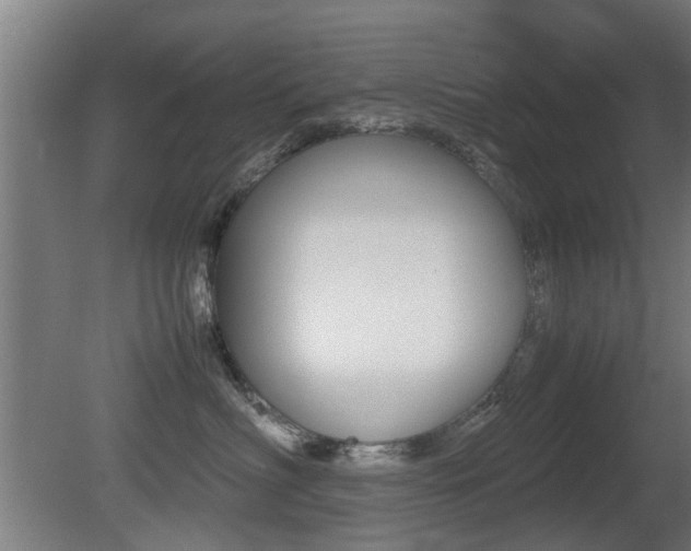 X0000081270622200701110909