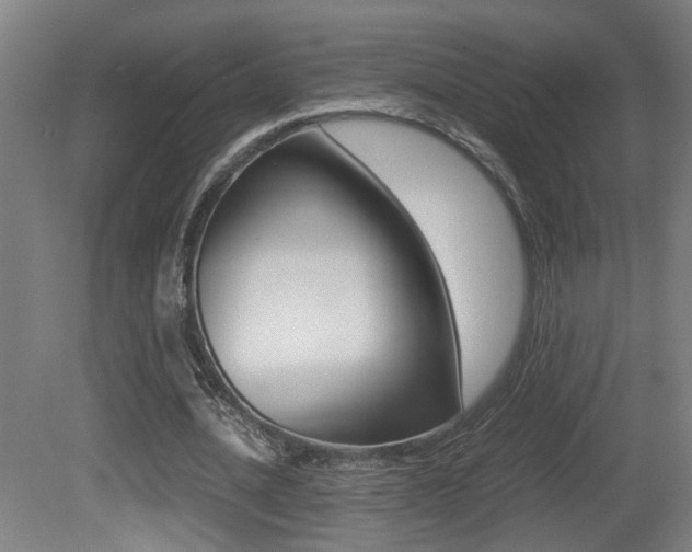 X0000081270628200701110908
