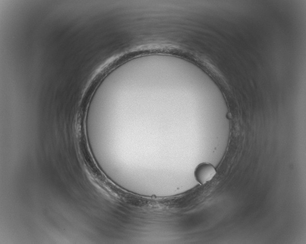 X0000081270632200701110908