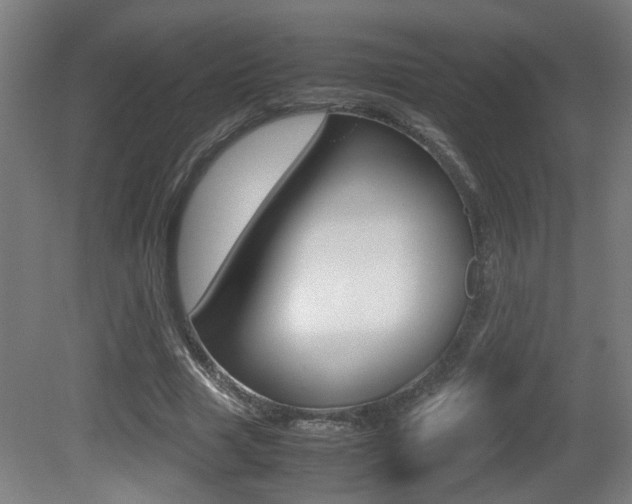 X0000081270633200701110908